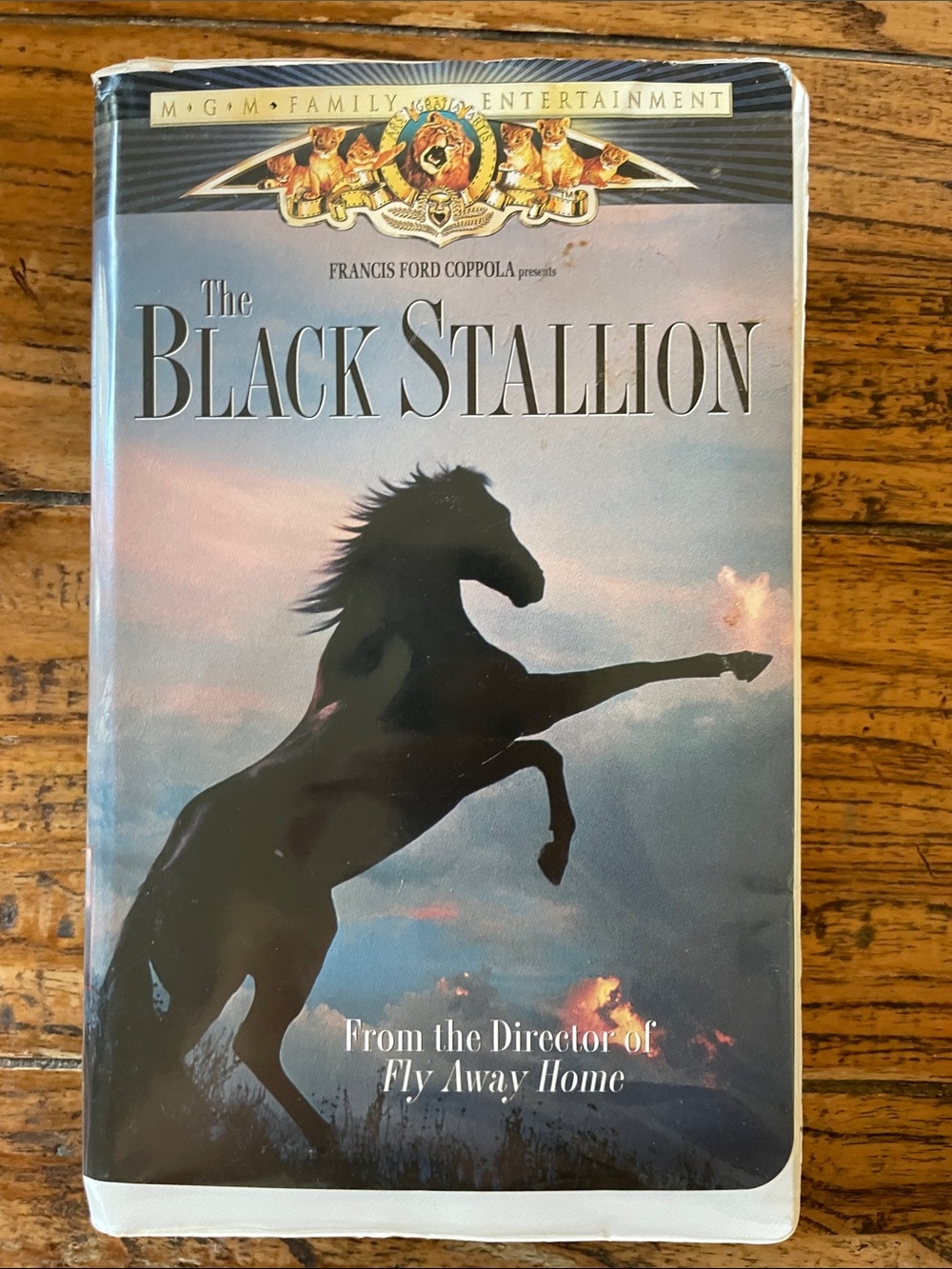 MGM Family Entertainment The Black Stallion  VHS Movie